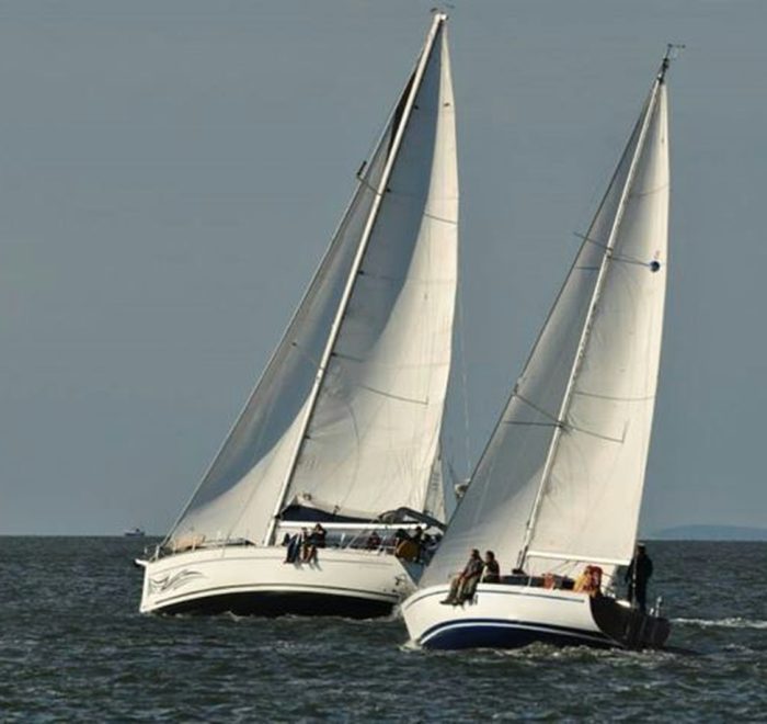 Mitsegeln Regatta Stralsund