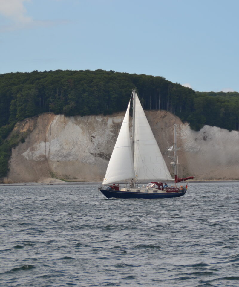 Rügen, Hiddensee, Boddentour,Segeln ab Stralsund